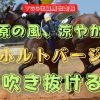 草原の風、涼やかに　ホルトバージ　吹き抜ける
